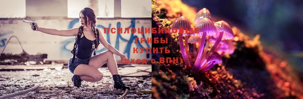 mix Каменка